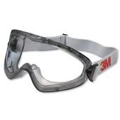 3M 2890A Koruyucu Gözlük