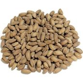 500 gr Kavrulmuş Antep Fıstığı