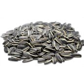500 gr Tuzsuz Çiğ Dakota Çekirdek