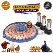 80 Yumurta Kapasiteli Tam Otomatik Kuluçka Makinesi
