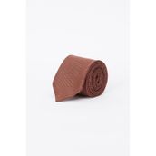 Ac&Co / Altınyıldız Classics Erkek Tarçın Desenli Kravat Tarçın