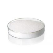 Acetyl L-Carnıtıne Hcl (Asetil L-Karnitin Hcl) 100 Gr