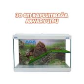Ada Akvaryum Su Kaplumbağası Akvaryumu Bahçeli Rampalı Dinlenme 35X25x15 Cm Arka Plan Hediyeli