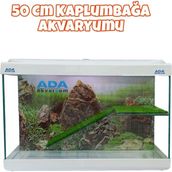 Ada Akvaryum Su Kaplumbağası Akvaryumu Bahçeli Rampalı Dinlenme 50X30x25 Cm Arka Plan Hediyeli
