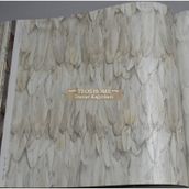 Adawall 9913-2 Tropicano Bej Kuş Tüyü Desen Duvar Kağıdı