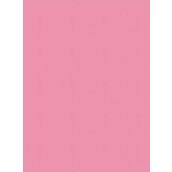 Adel 50x70 Pembe Fon Kartonu