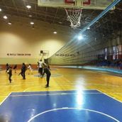 Adelinspor Premium 20 m Voleybol Filesi