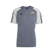 Adidas HP1906 Gri Erkek Futbol Forması