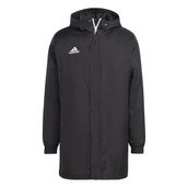 Adidas IB6076 Entrada 22 Stadium Siyah Erkek Mont