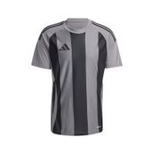 Adidas IW2145 Striped 24 JSY Gri Erkek Futbol Forması