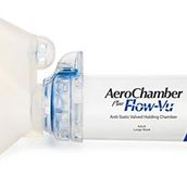 AEROCHAMBER PLUS FLOW VU Anti Static Valved Holding Mavi Yetişkin Büyük Maske Chamber