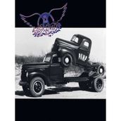 Aerosmith Pump Plak