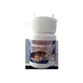 Agrobazaar Procaps Cs Haşere Ilacı 50 ml dop6558679igo