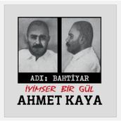 Ahmet Kaya - Adı Bahtiyar İyimser Bir Gül - Plak