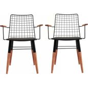 Akın Lüx 78x58x59 cm Siyah Nehir Kollu 2'li Sandalye