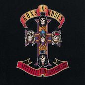 Allians Rock Klasikleri Lp: Appetite For Destruction, Plak Albüm