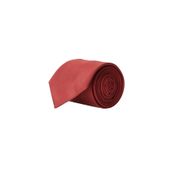 ALTINYILDIZ CLASSICS Erkek Bordo Bordo Nano Kravat