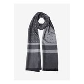 ALTINYILDIZ CLASSICS Gri Erkek Atkı ACE282610015_GRI