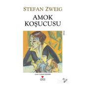 AMOK KOŞUCUSU - STEFAN ZWEIG (ISBN:9789755101453)