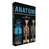 Anatomi - Bünyamin Şahin