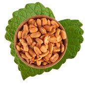 Antik Kuruyemiş 500 gr Soslu Fıstık