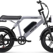 Ape Ryder Colobus Premium 750 W Elektrikli Bisiklet