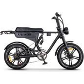 Ape Ryder DC20 Çift Kişilik Elektrikli Bisiklet