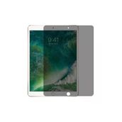 Apple Ipad 10.2 2021 (9.Nesil) Heptekiletişim Tablet Privacy Temperli Cam Ekran Koruyucu-Siyah