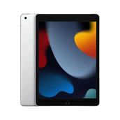 Apple iPad 9. Nesil MK2P3TU/A Wi-Fi 256GB 10.2 inç Gümüş Tablet PC