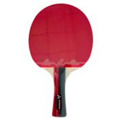 ARIMA ITTF onaylı Masa Tenisi Raketi 5* Çift Taraflı AR1013