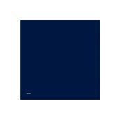 Armine 0010D02T1003 (twill) Düz Boyalı Eşarp