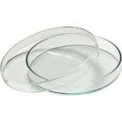 Aropi Plastik İki Bölmeli Steril Aseptik 90 x 15 mm 140 Adet Petri Kabı Kutusu