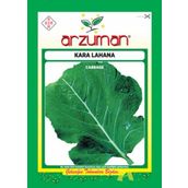 Arzuman 10 gram Kırmızı Lahana Tohumu