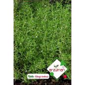 Arzuman 100 Adet Satureja Hortensis Kekik Çiçek Tohumu