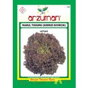 Arzuman 10gr Kıvırcık Marul Tohumu