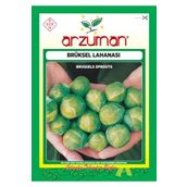 Arzuman 200 Adet Brüksel Lahanası Tohumu