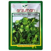 Arzuman 25 gr İnce Yaprak Maydanoz Tohumu