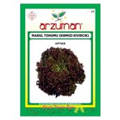 Arzuman Sebze Kırmızı Kıvırcık Marul Tohumu