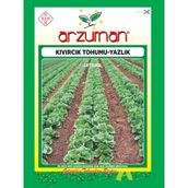 Arzuman Sebze Yazlık Kıvırcık Marul Tohumu