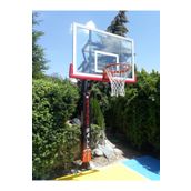 ASSASPOR Black Gold Tek Direkli Basketbol Potası Esnek Çember Yükseklik Ayarlı 105x180cm Temperli Cam Panya BASTEK-108