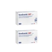 Assos Pharma Kondromin Art 2x90 Tablet