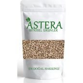 Astera 100 gr Tuzsuz Ay Çekirdeği İçi