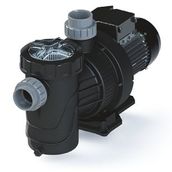 Astral 1,5 Hp Trifaze Verdon ES Havuz Pompası