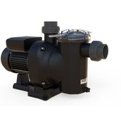 Astral Sena 1/2 Hp 220 V Havuz Pompası