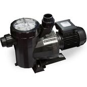 Astral Victoria Plus 1.5 Hp 220 V Havuz Pompası