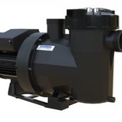 Astral Victoria Plus 2 Hp 220 V Havuz Pompası