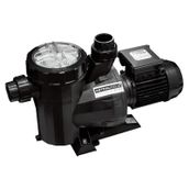 Astral Victoria Plus 2 Hp 380 V Havuz Pompası