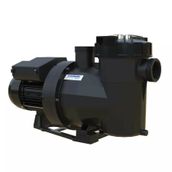 Astralpool Victoria Plus Silent 1,5 HP Trifaze Havuz Pompası