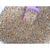 Asya Petshop 1- kg Açık Kuş Yemi