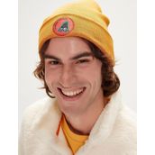 Bad Bear Bonfire Beanie Erkek Bere